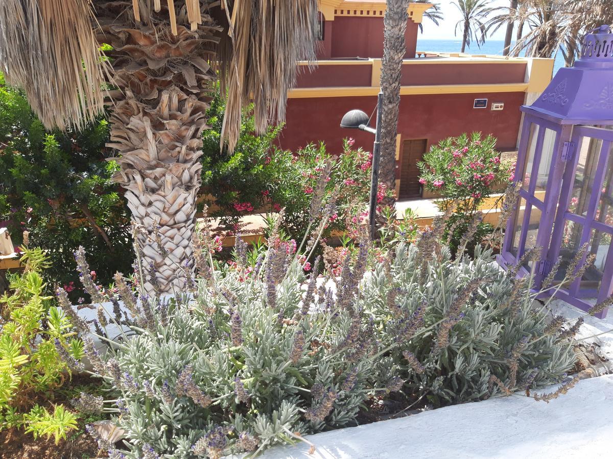 Vila Lavanda ปลายาเดลาสอเมริกาส ภายนอก รูปภาพ